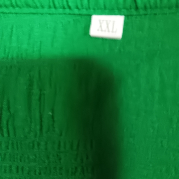 Green Mandarin Collar Blouse - Picture 5 of 6